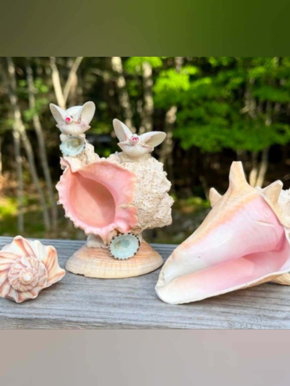 Coastal Decor | Pink Mouthed Murex Art | Queen Conch | Lightening Whelk